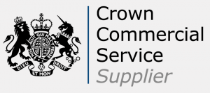crown-commercial-service-supplier-logo-grey-300x134